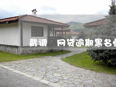 背调 网贷逾期黑名单 背调 网贷逾期黑名单